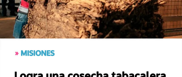 MISIONES: Logra una cosecha tabacalera histórica con ingresos superiores a  mil millones