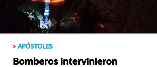 Bomberos intervinieron rápidamente para sofocar quema de basura en barrio residencial